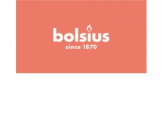 Logo Bolsius Nederland B.V.